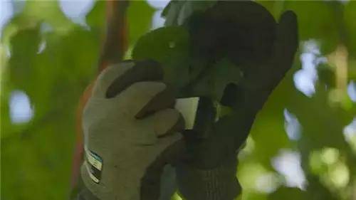 唯獨(dú)這一些抓人眼球的室外標(biāo)識(shí)才配叫創(chuàng)意！廣告主也滿意10