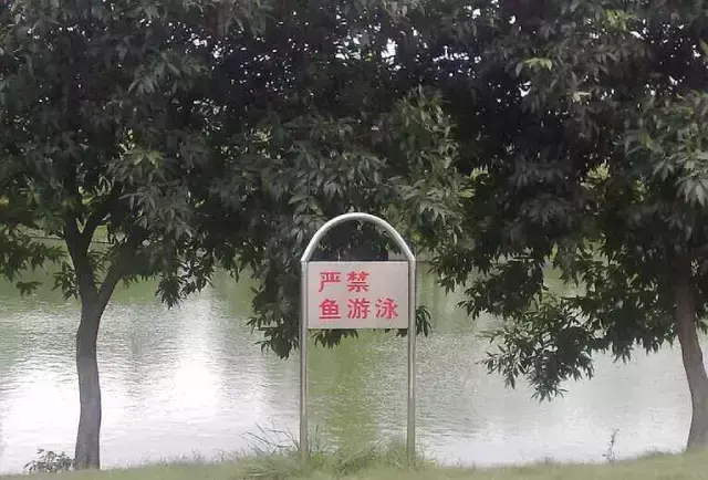 這些沙雕招牌廣告標(biāo)語(yǔ)，讓我站路邊笑了半天停不下來(lái)23