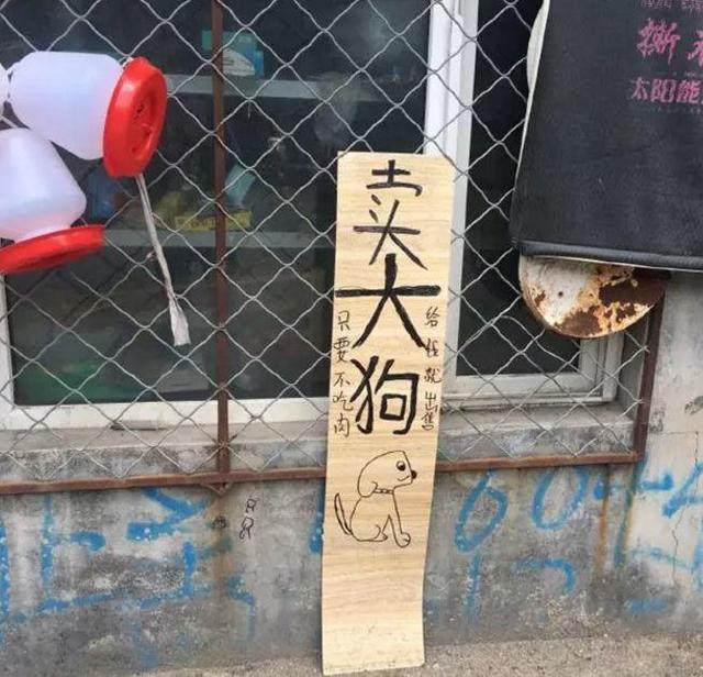 中國(guó)街頭廣告牌子有多野？瞧瞧這一些讓人笑掉大牙的品牌名20