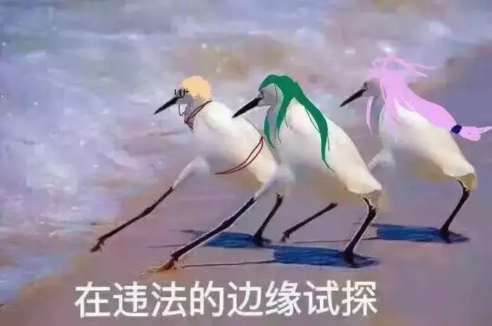 中國路邊的發(fā)光廣告牌，我能笑一年
