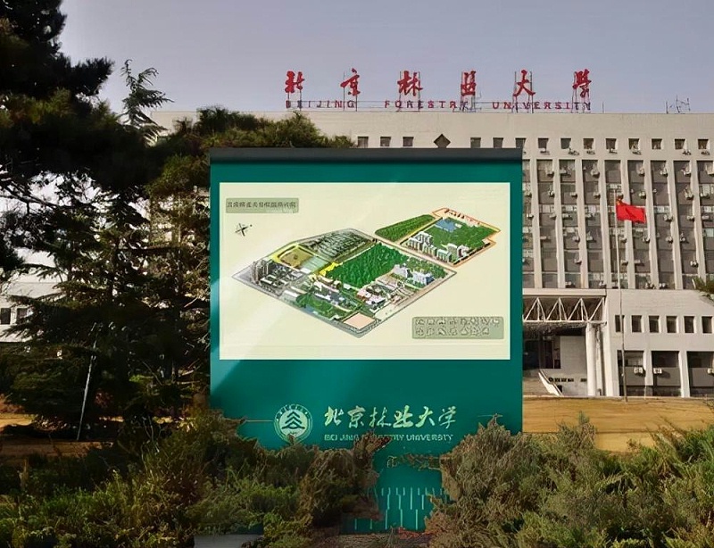 “為人而生”的大城市導向標志設計